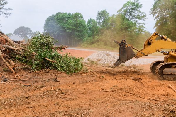 Ground Clearing in Pasadena