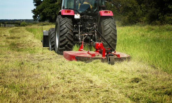 Brush Clearing Service in Pasadena
