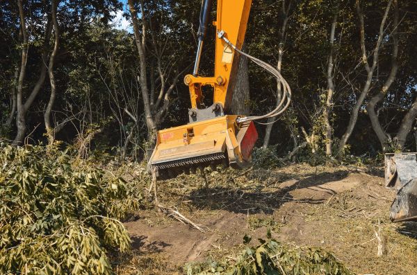 Brush Removal Service in Pasadena