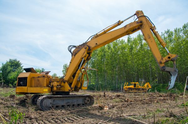Cost of Farm Clearing in Pasadena