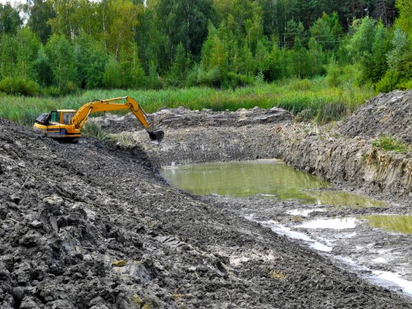 Cost of Lake Lot Clearing in Pasadena