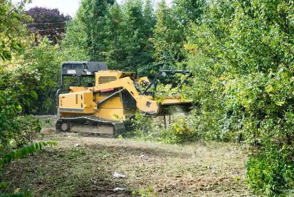 Cost of Pathway Clearing in Pasadena