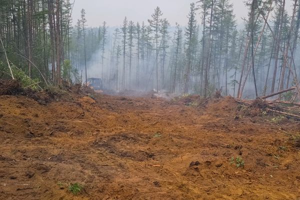 Cost of Hill Clearing in Pasadena