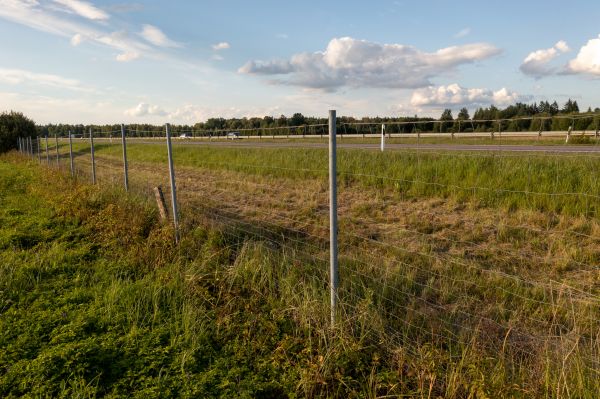 Cost of Property Line Clearing in Pasadena