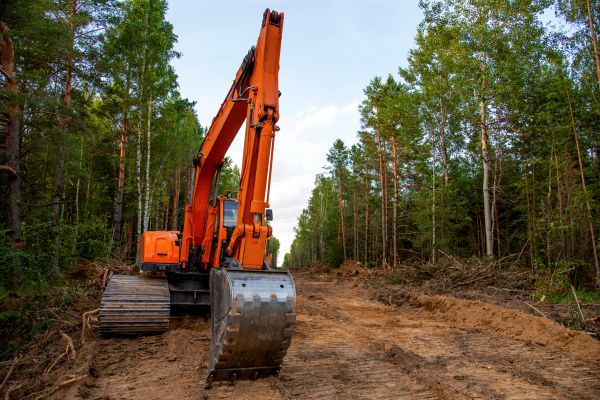 Cost of Backhoe Land Clearing in Pasadena