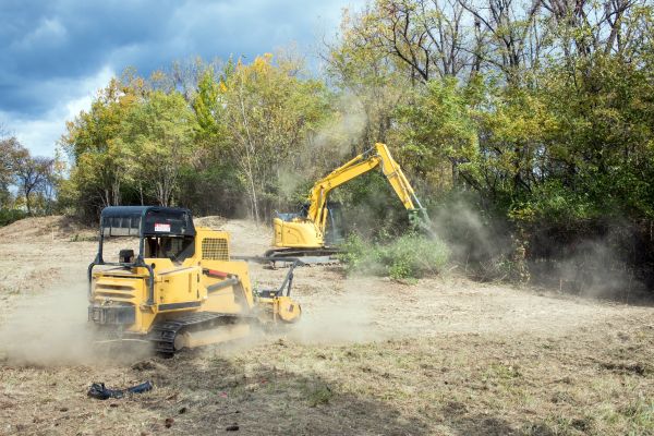 Cost of Terrain Clearing in Pasadena