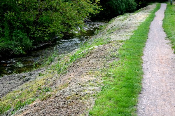 Cost of Trail Cutting in Pasadena