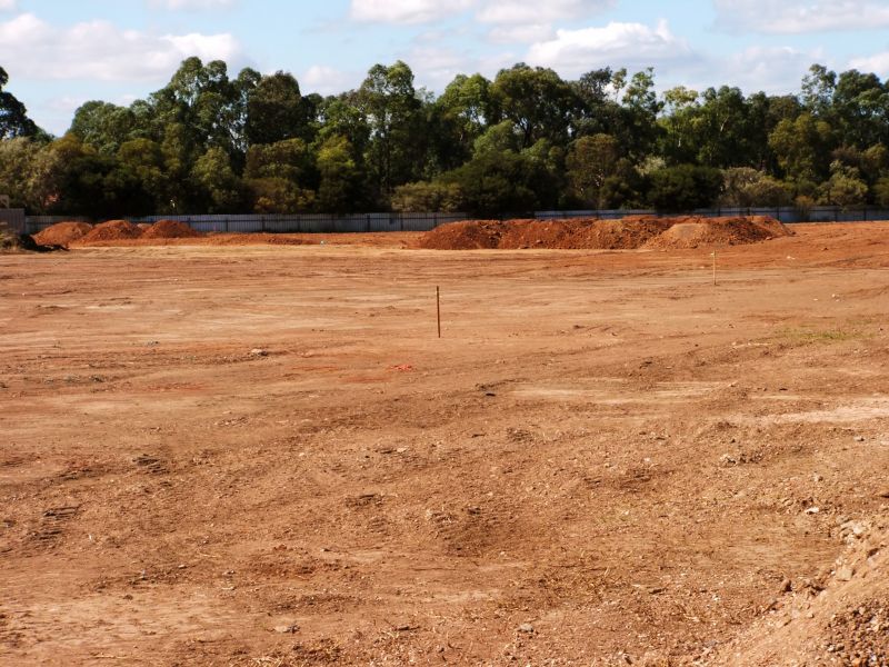 Grading and Leveling